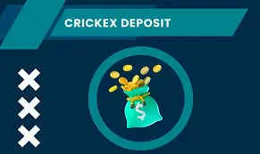 Flexible Banking Options at Crickex