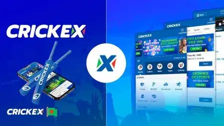 How to Contact Crickex Quickly and Effectively
