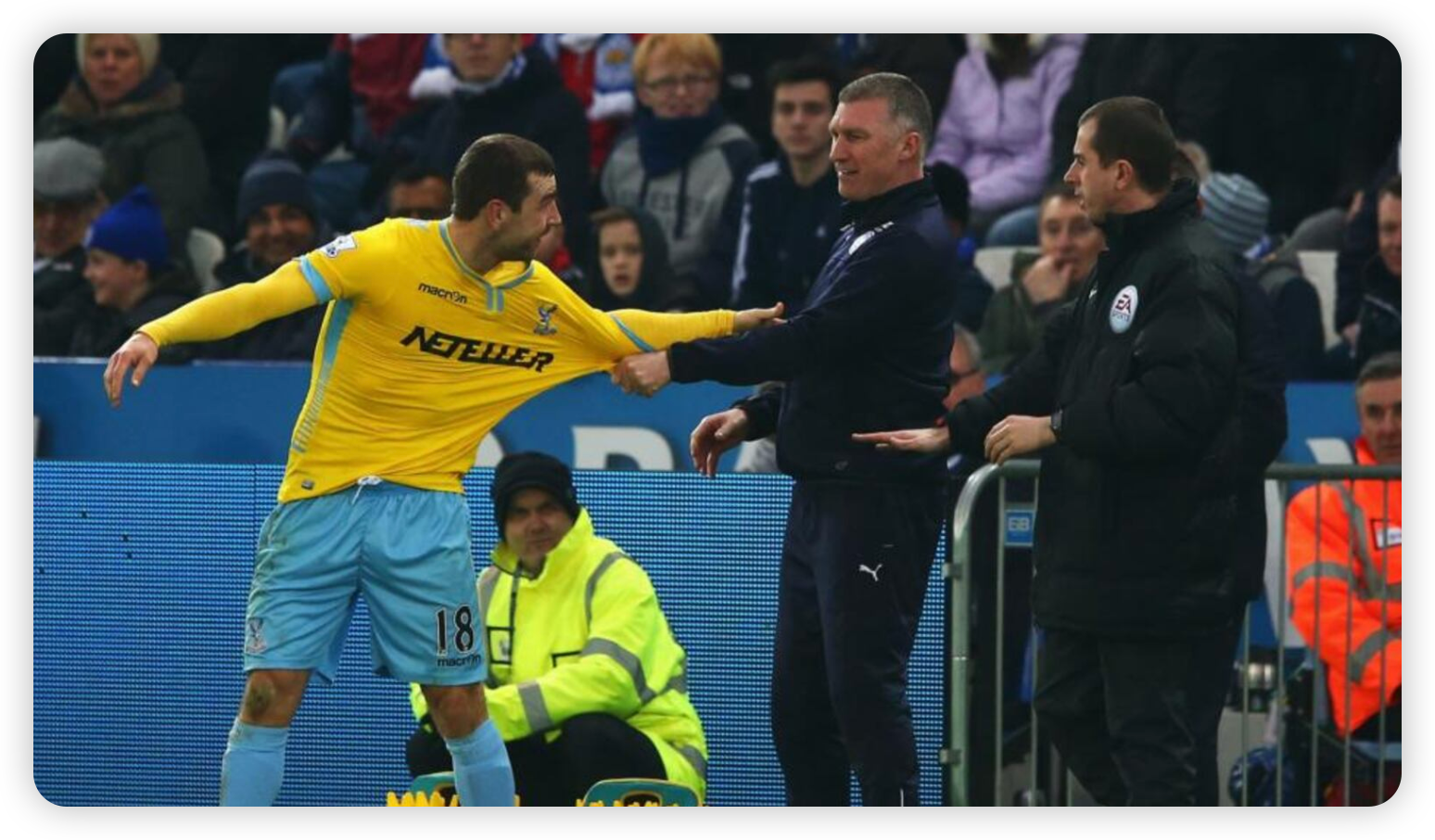 Leicester City Shock: Nigel Pearson Sacked Despite Great Escape – Crickex Analysis